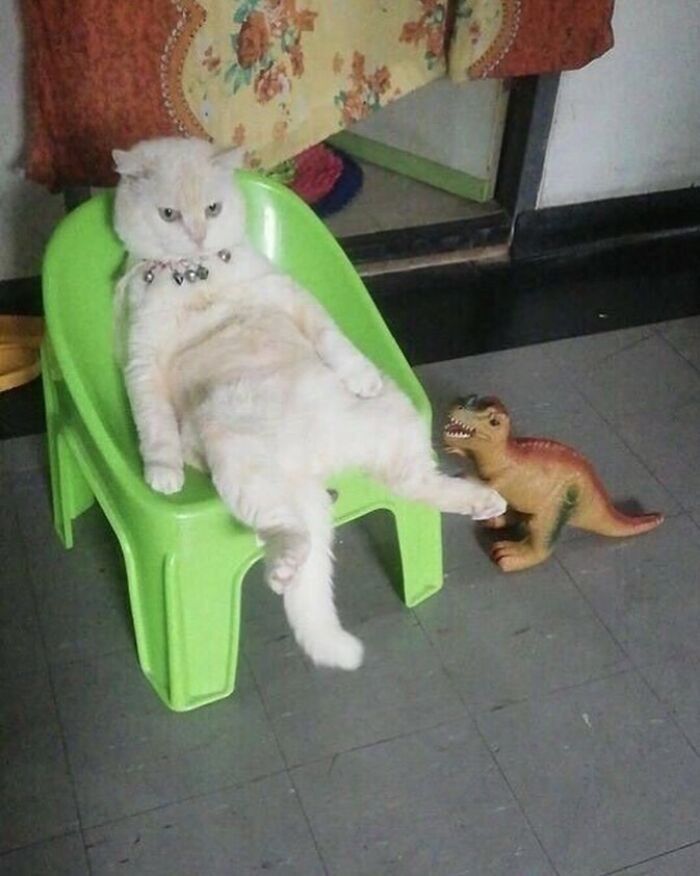 Funny-The-Snuggle-Is-Real-Pics