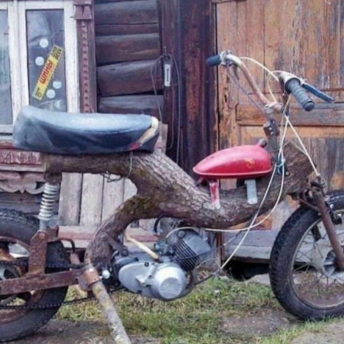 S**tgardens Tour? Hop On