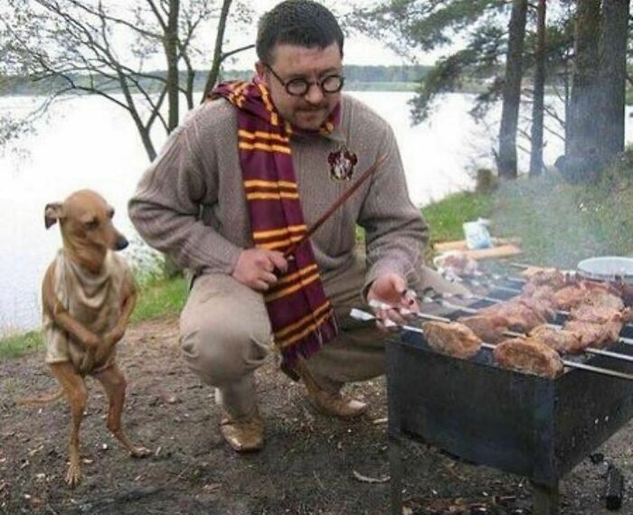 50 Times People Spotted Animals Doing Their Usual Stuff And Just Had To Take Pics (New Pics)