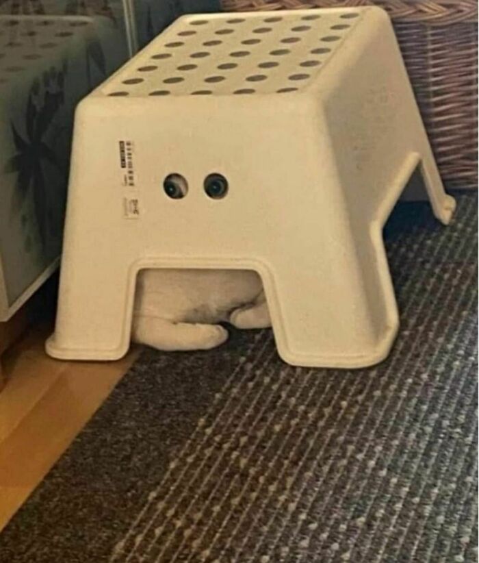 Funny-The-Snuggle-Is-Real-Pics