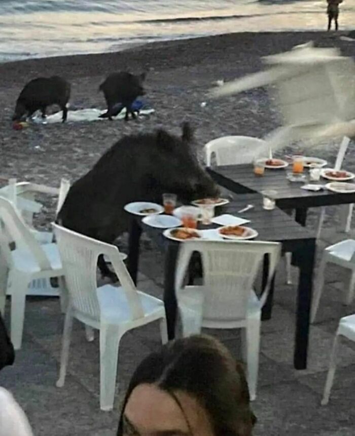 Funny-The-Snuggle-Is-Real-Pics