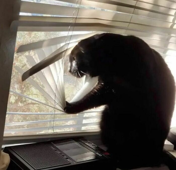 Funny-The-Snuggle-Is-Real-Pics