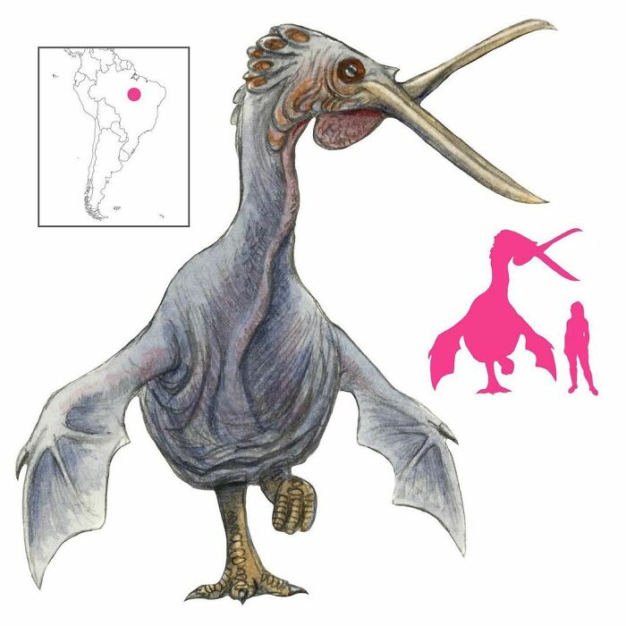 The Romŝiwamnari’ Are Demons Of The Serente People Of Brazil. They Are Large Birds With Scissor-Like Beaks And Flabby Bat’s Wings. They Can Even Consume The Souls Of The Dead