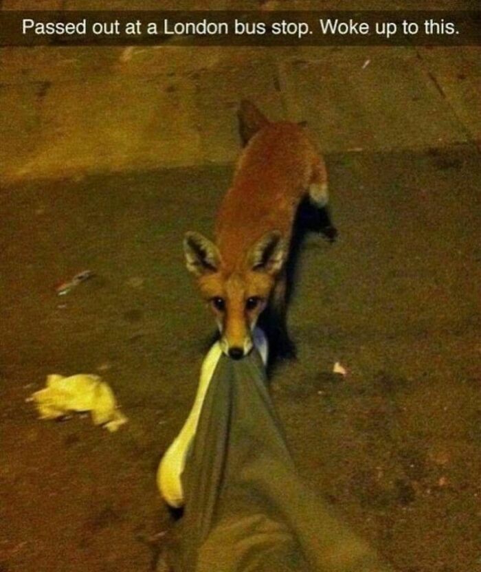 Funny-The-Snuggle-Is-Real-Pics