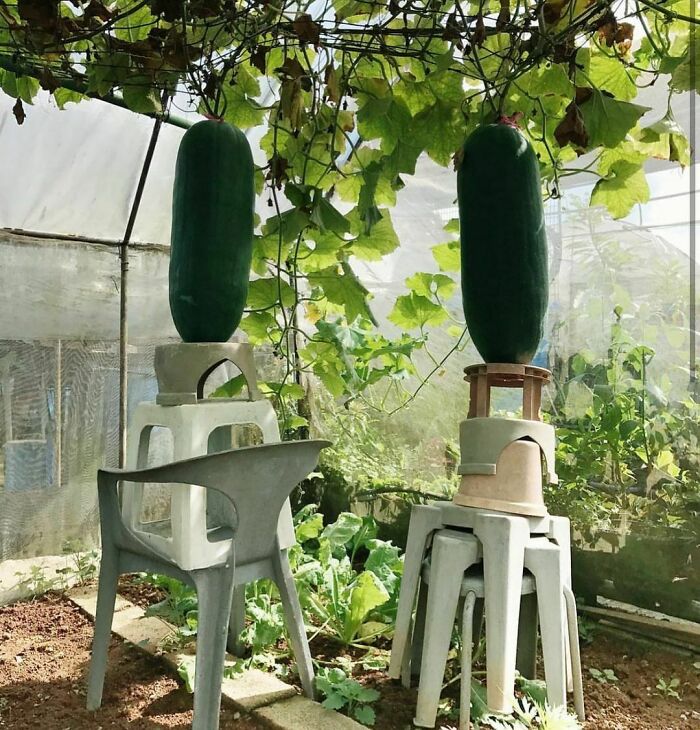 Sé lo que se siente 