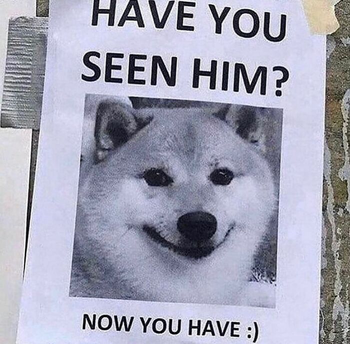 Funny-The-Snuggle-Is-Real-Pics