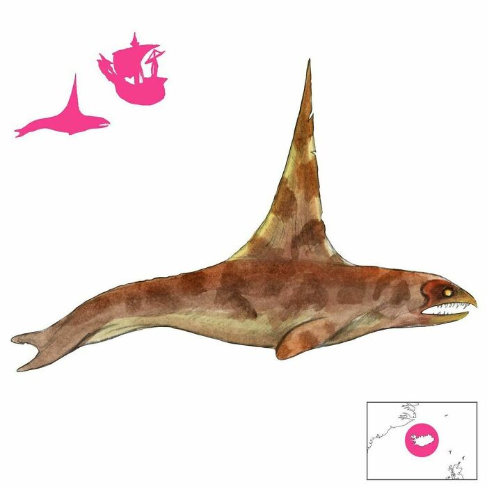 The Sverðhvalur Or Sword-Whale Is One Of The Many Evil Whales That Ply Icelandic Waters. It Uses Its Huge, Bladelike Dorsal Fin To Punch Holes In Boats Or Slice Through Them Like Butter. It Also Uses It To Slice Other Whales To Death, But It Only Eats Their Tongues