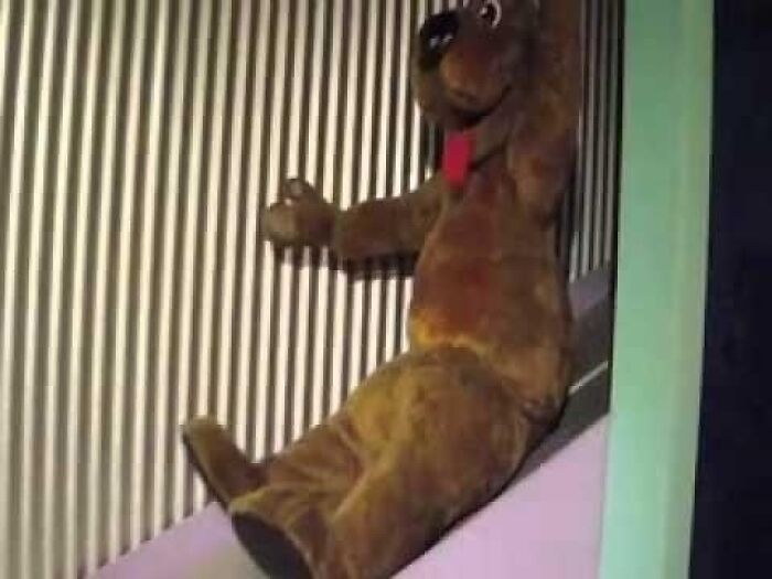 Funny-Cursed-Images-Pics