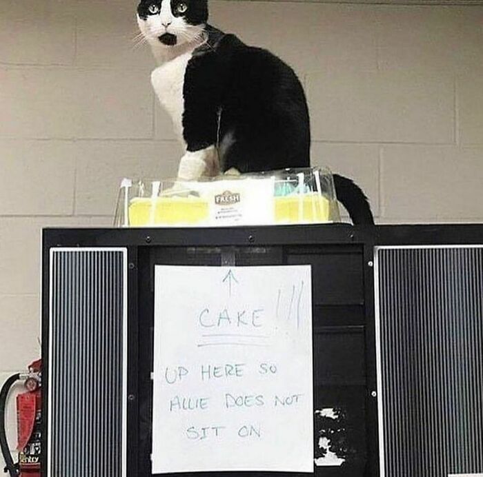 Funny-The-Snuggle-Is-Real-Pics