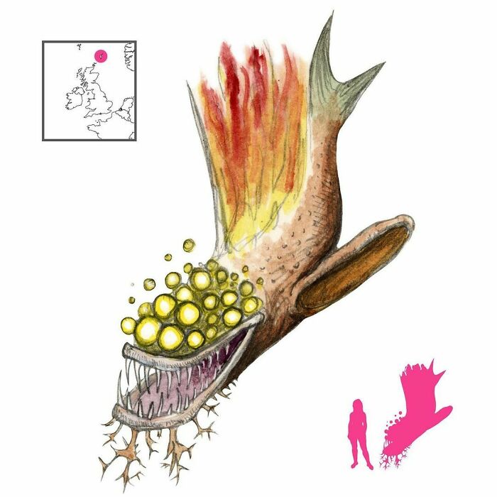 The Marool Is The Anglerfish Or Monkfish In Shetland Folklore. It Has Many Eyes And Sings Wildly With Joy When A Ship Capsizes