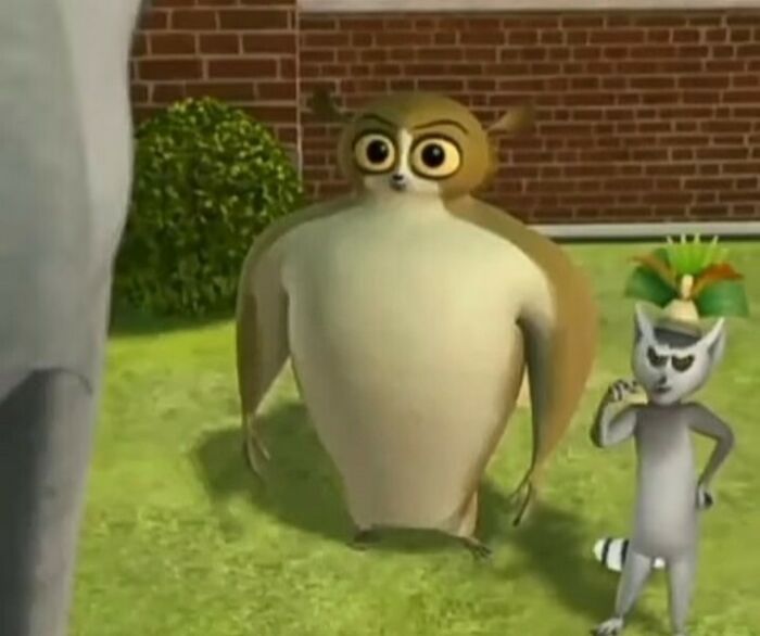 Funny-Cursed-Images-Pics