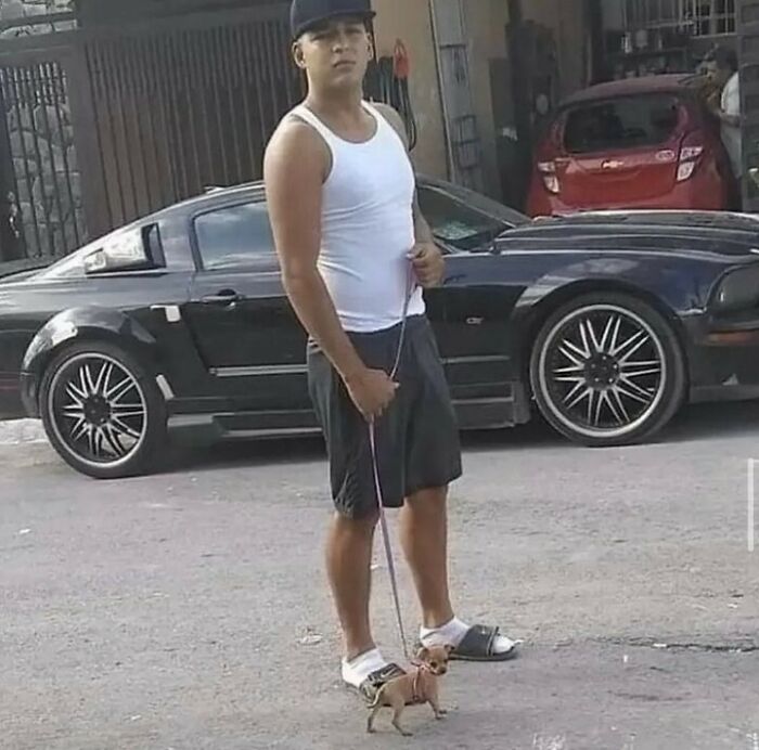 Funny-Cursed-Images-Pics