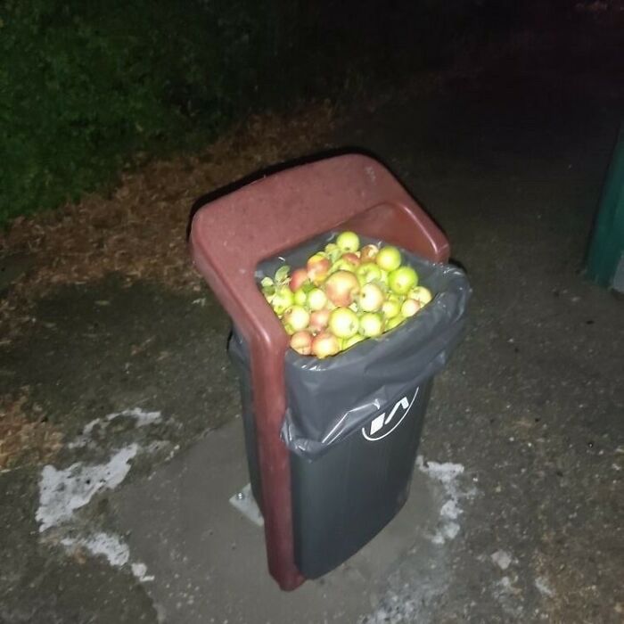 Funny-Cursed-Images-Pics