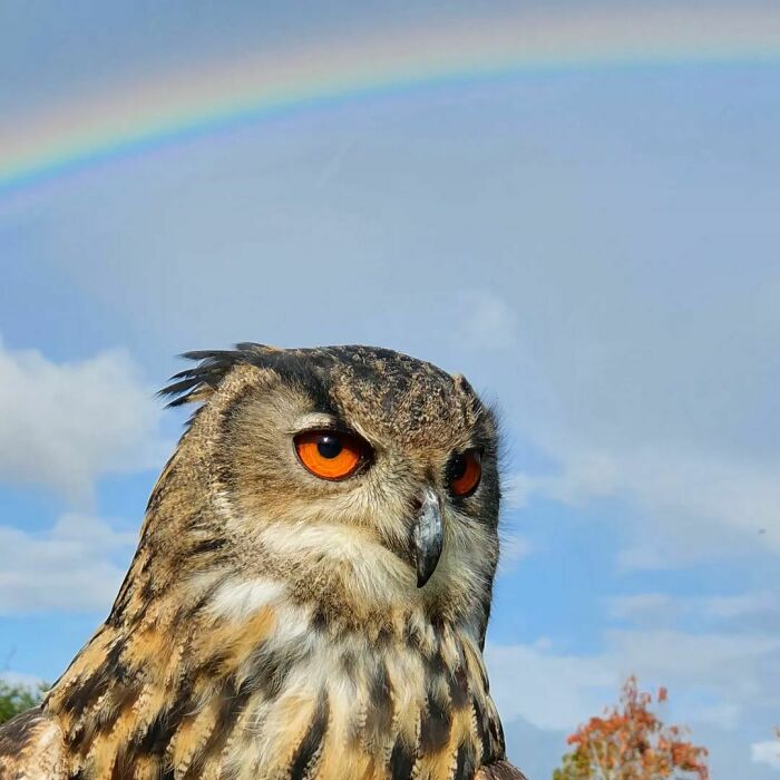 Be A Rainbow In Someone Else's Cloud