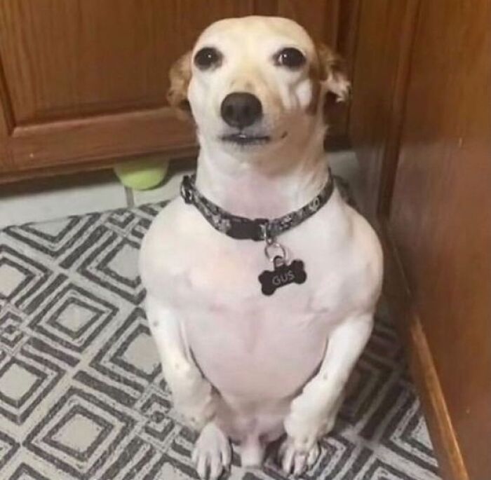 Funny-Cursed-Images-Pics