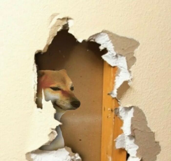 Funny-Cursed-Images-Pics