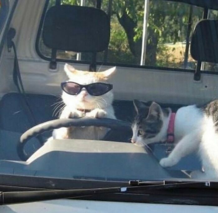 Funny-Cursed-Images-Pics