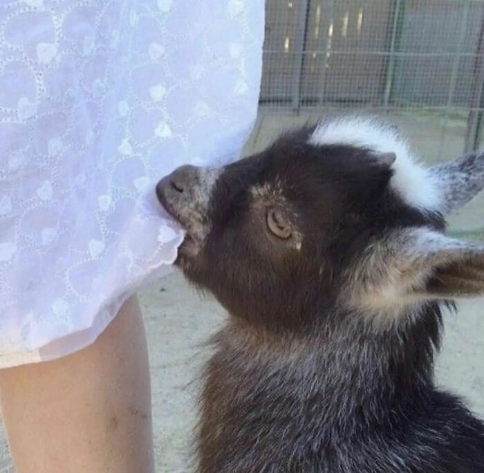 Funny-The-Snuggle-Is-Real-Pics