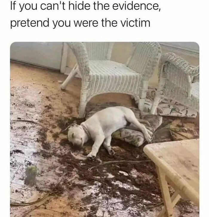 Funny-The-Snuggle-Is-Real-Pics