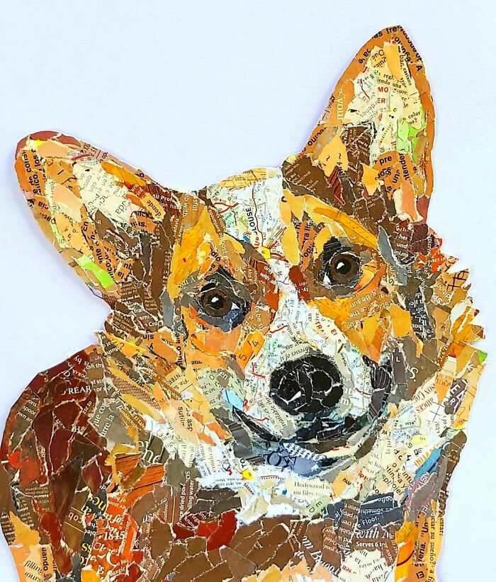 Here Is Scotty, The Corgi