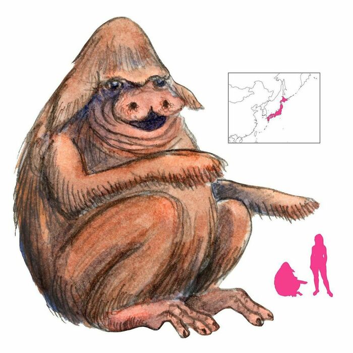 The Yamabiko Lives In The High Mountains Of Japan. When People Call Out, It Responds With A Mocking Echo