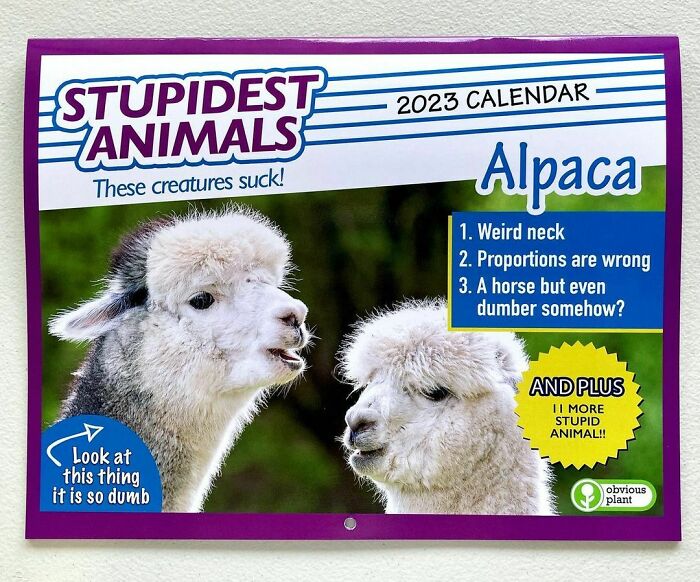 Funny-Weird-Fake-Products-Obvious-Plant