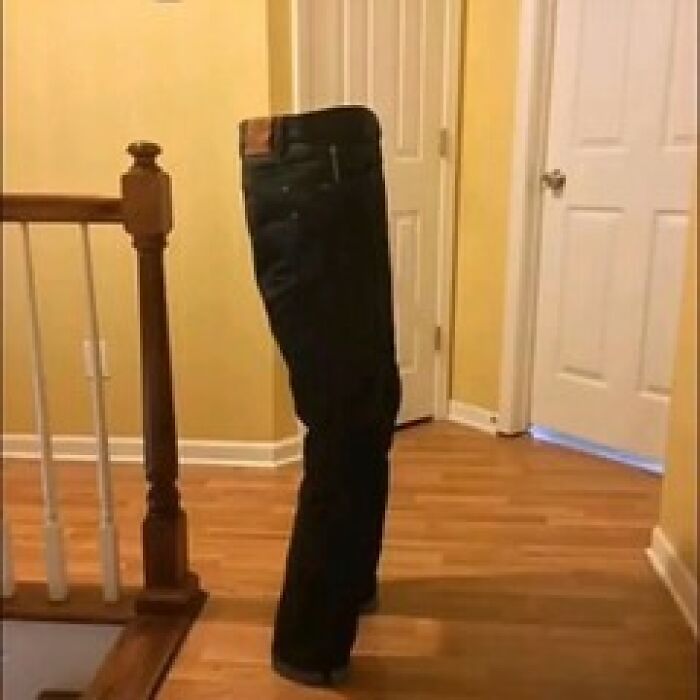 Weird-Funny-Cursed-Images