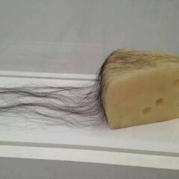 Weird-Funny-Cursed-Images