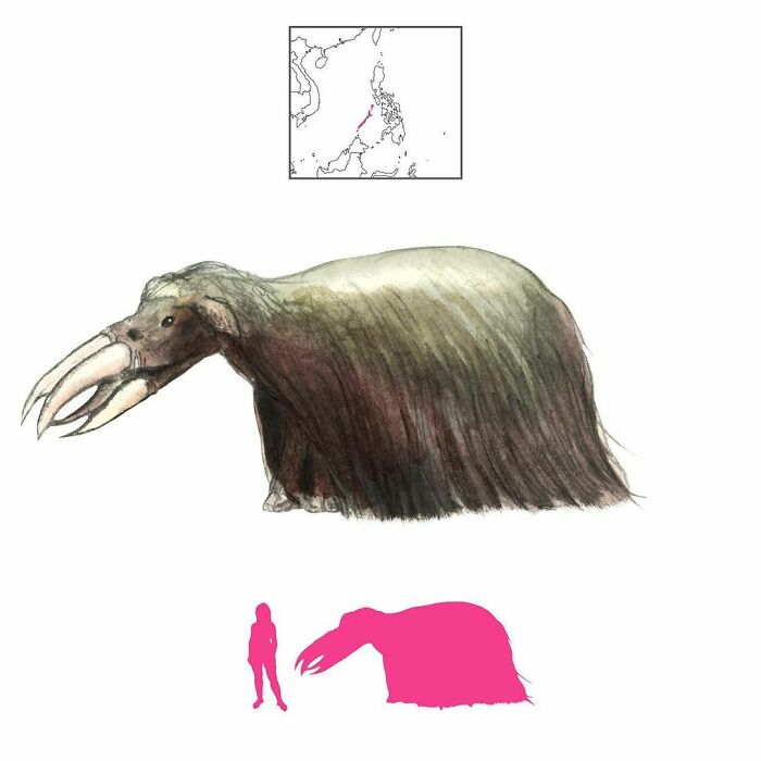 The Mantabungal Is A Mountain Demon From Palawan In The Philippines. Shaped Like A Shaggy Cow With Two Pairs Of Huge Fangs, It Is Known To Dismantle And Destroy Campsites And Tear People To Shreds