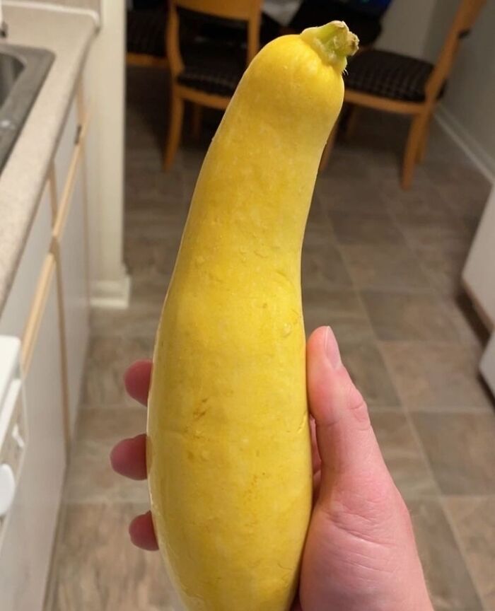 Weird-Funny-Cursed-Images