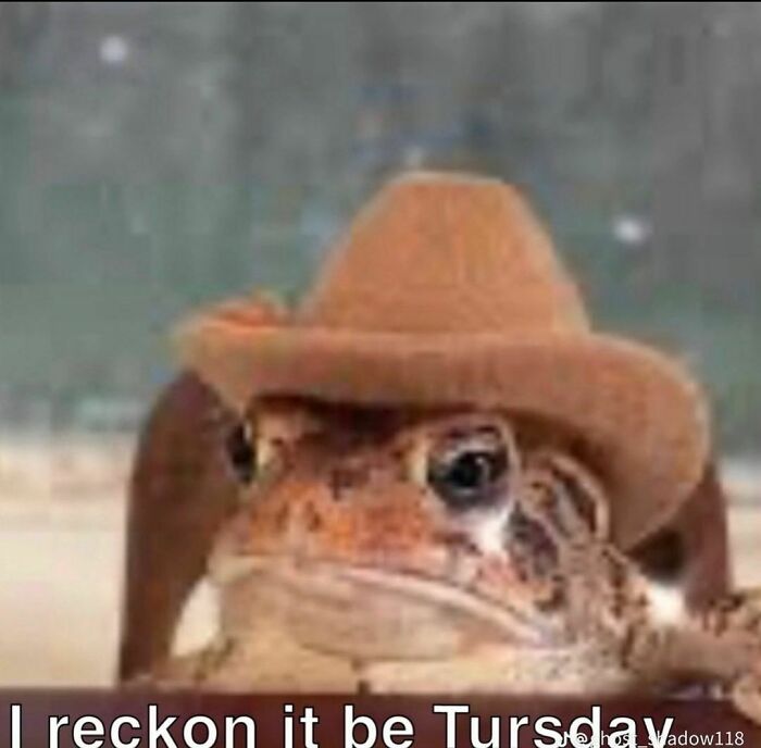 Weird-Funny-Cursed-Images