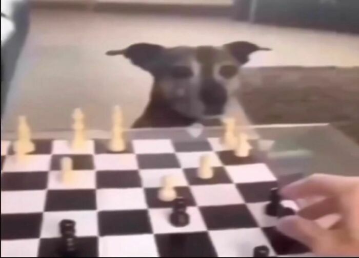 Weird-Funny-Cursed-Images