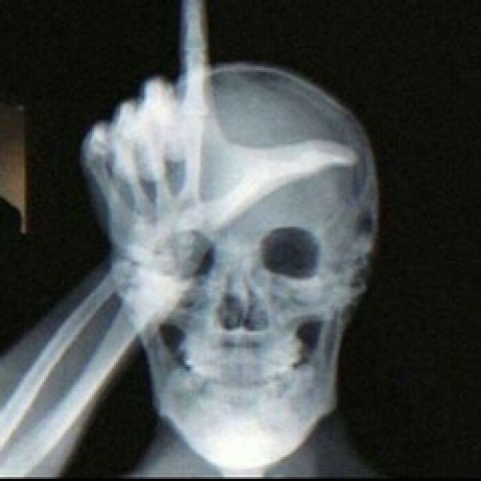 Weird-Funny-Cursed-Images