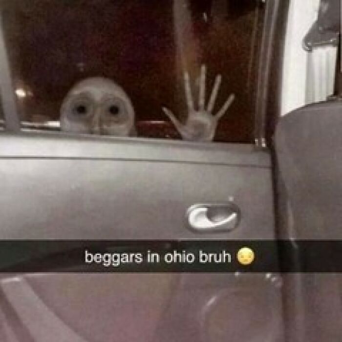 Weird-Funny-Cursed-Images