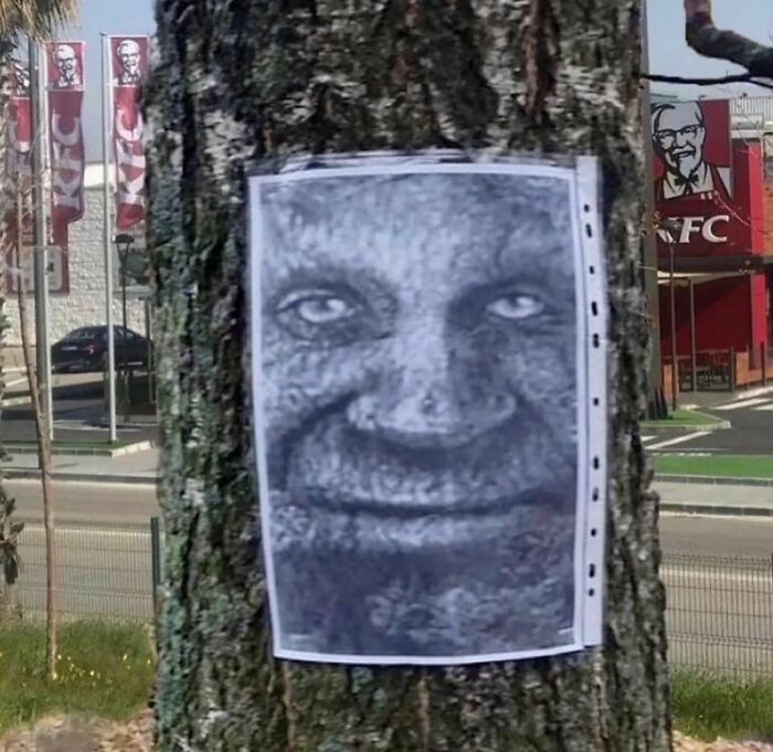 Weird-Funny-Cursed-Images