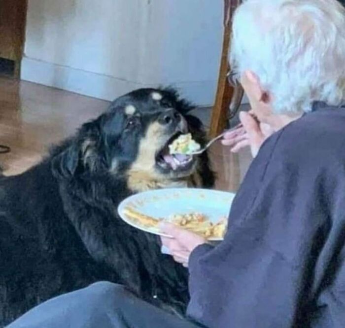 Funny-The-Snuggle-Is-Real-Pics