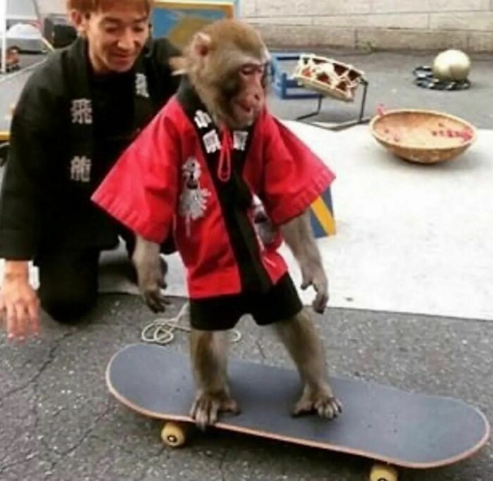 Weird-Funny-Cursed-Images