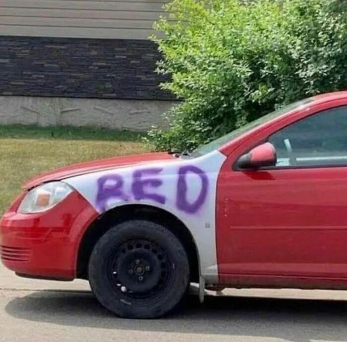 Would-Prefer-Not-To-Pics