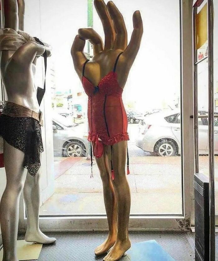 Would-Prefer-Not-To-Pics