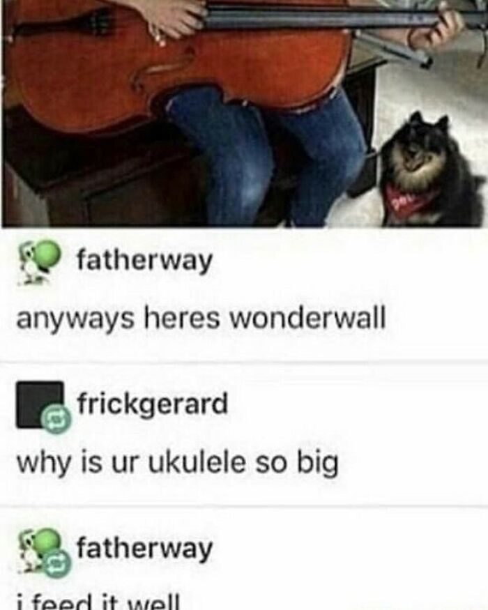 Funny-Weird-Tumblr-Screenshots-Antisocialduckling