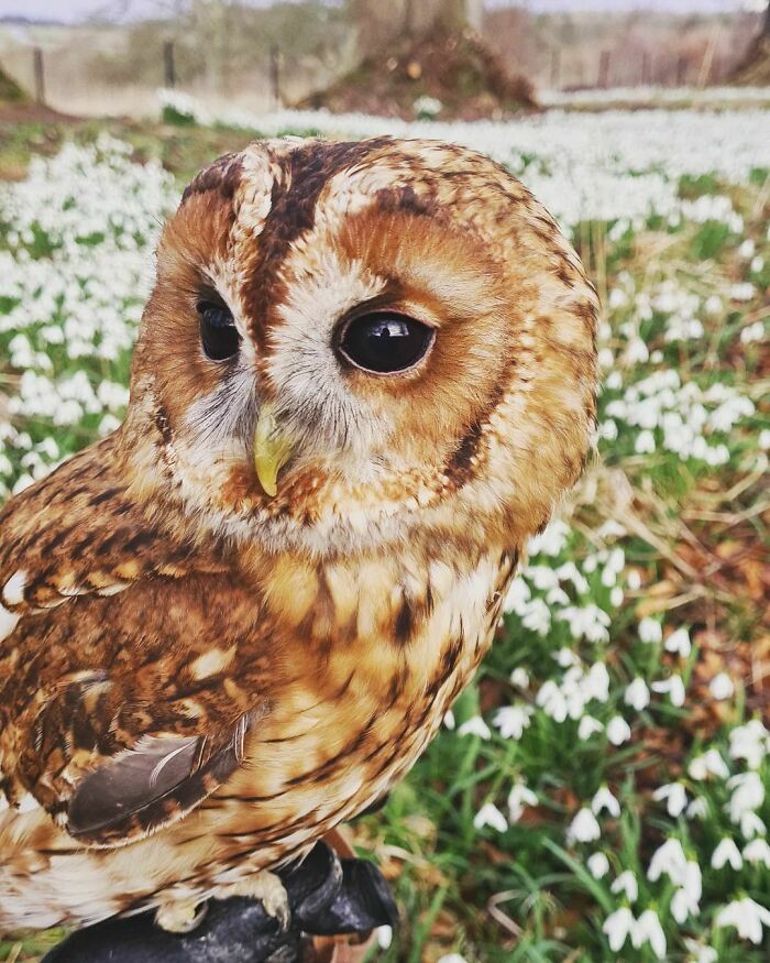 Spring Is Almost Here!