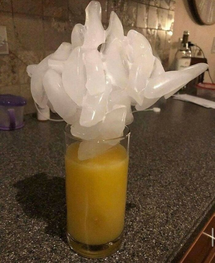 Weird-Funny-Cursed-Images