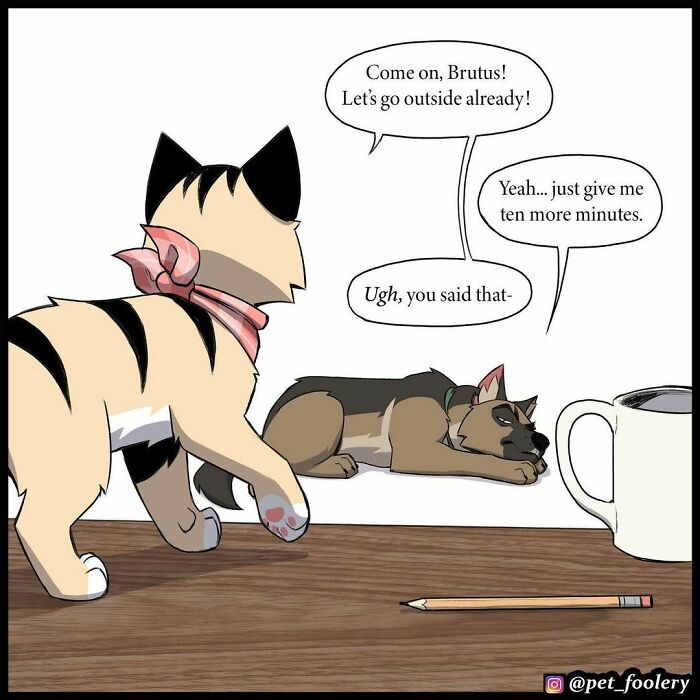 7 New Hilariously Adorable Comics From The Internet&rsquo;s Most Loved Cat And Dog Duo To Instantly Make Your Day