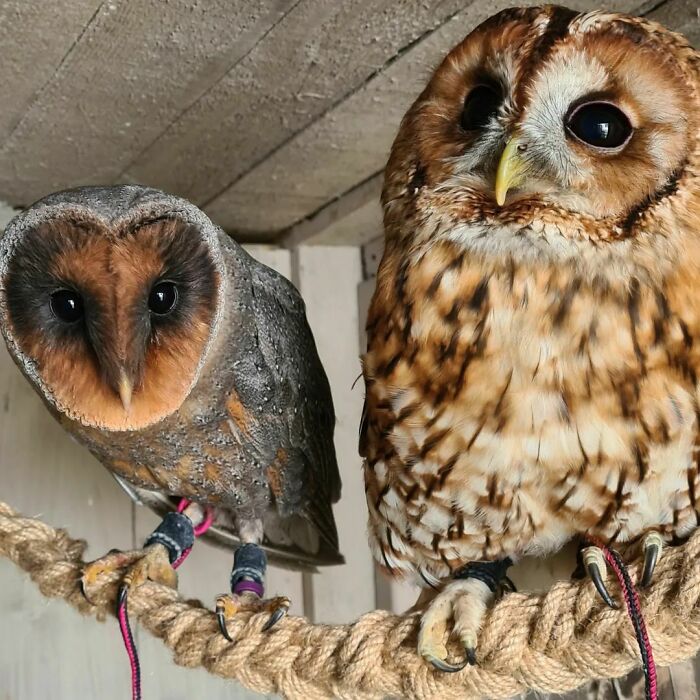On Their New Swing Hammock
