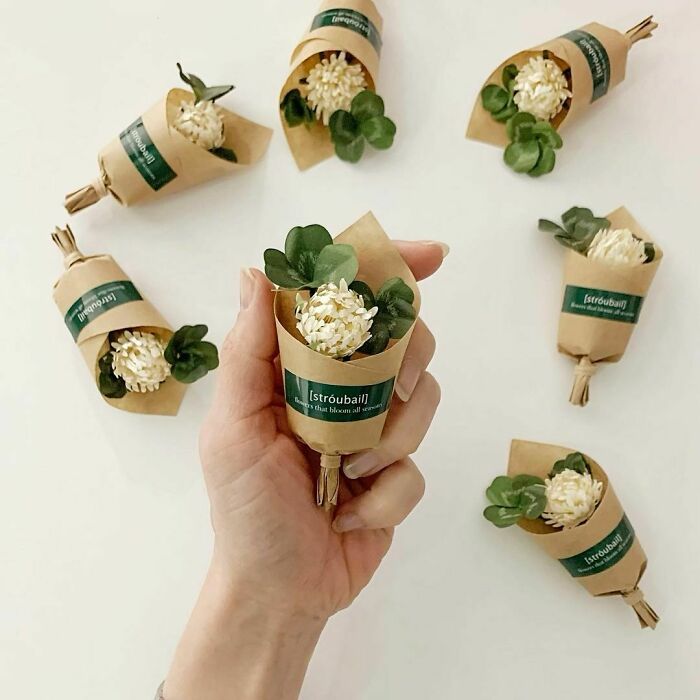 person holding in the hand four-leaf clover bouquet made out of the paper