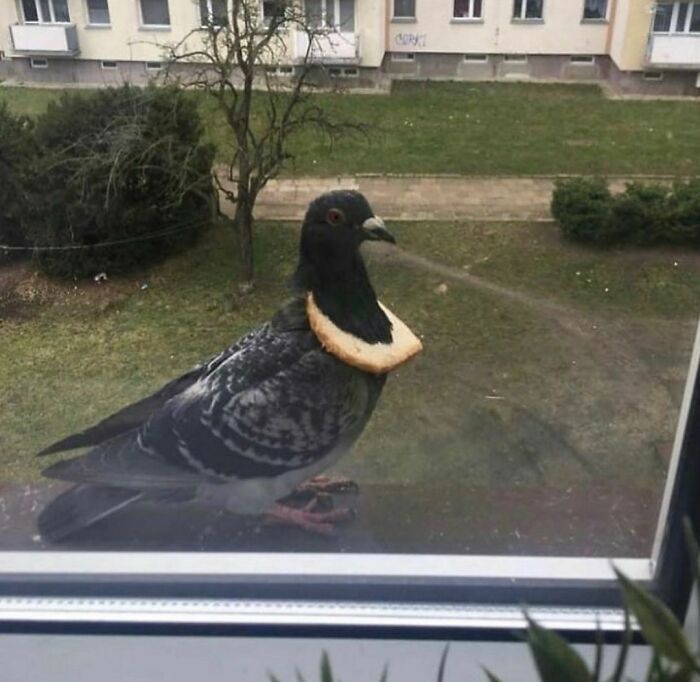 Funny-The-Snuggle-Is-Real-Pics