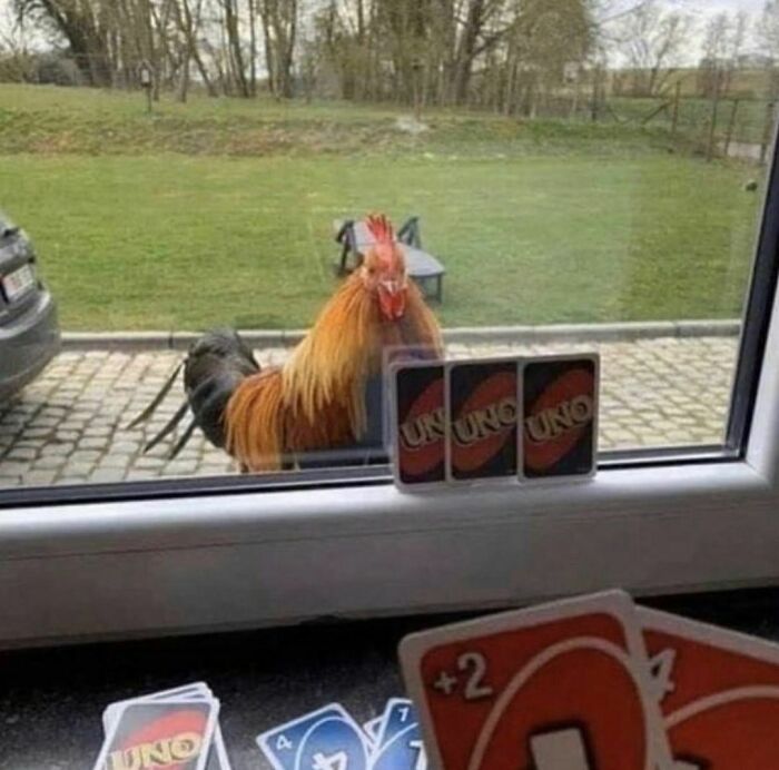 Funny-The-Snuggle-Is-Real-Pics