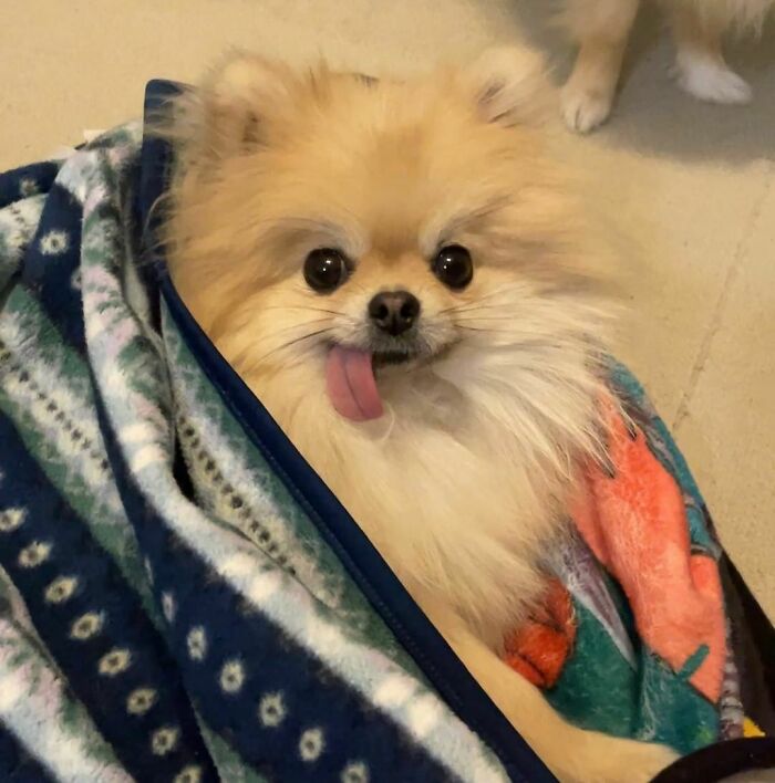 I'm Here In A Place Like This