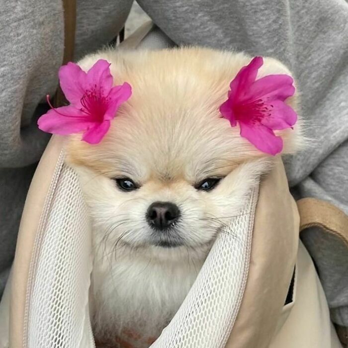 It's That Time Of Year Again