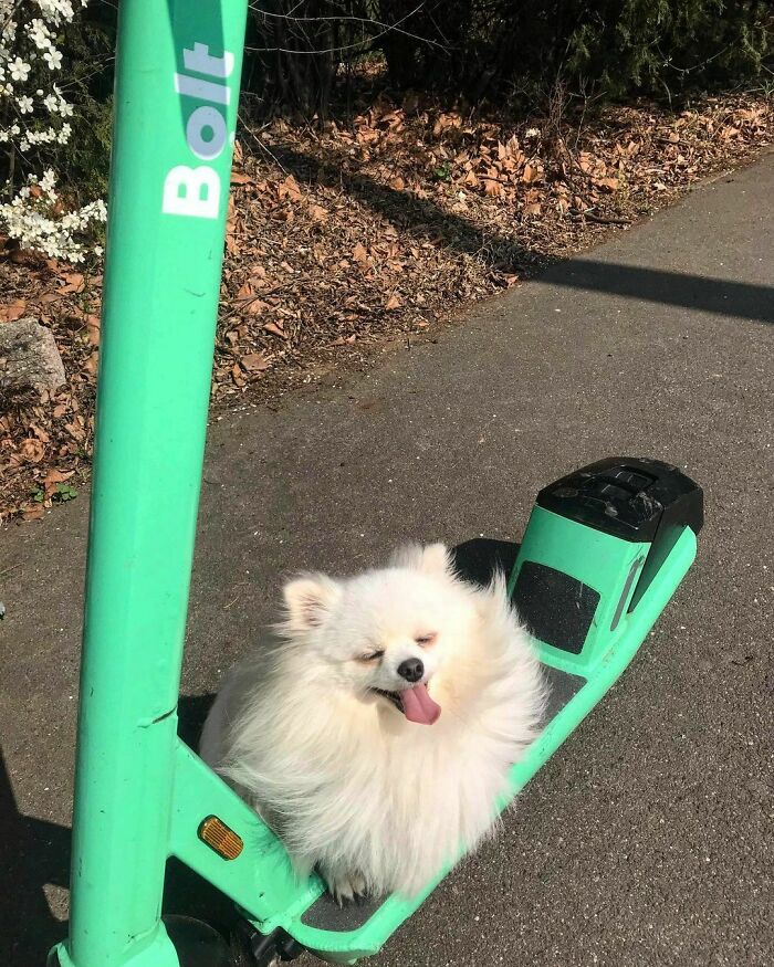 Hey, Girls! Wanna Go For A Ride?